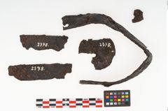 Foto von Eisenband (NHMW-PRAE-002378)